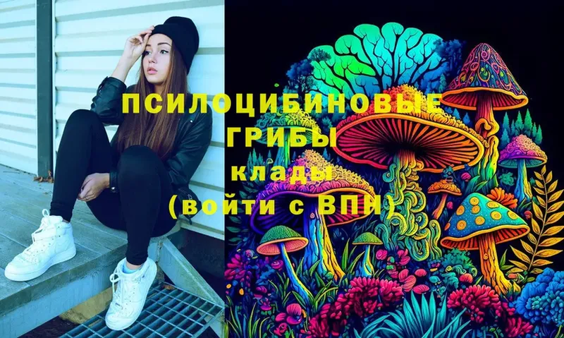 Галлюциногенные грибы MAGIC MUSHROOMS  Нижний Тагил 